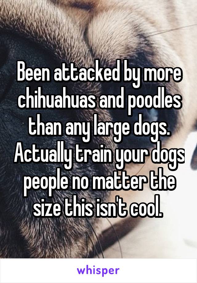 Been attacked by more chihuahuas and poodles than any large dogs. Actually train your dogs people no matter the size this isn't cool. 