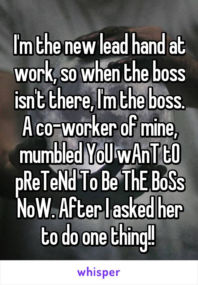 I'm the new lead hand at work, so when the boss isn't there, I'm the boss. A co-worker of mine, mumbled YoU wAnT tO pReTeNd To Be ThE BoSs NoW. After I asked her to do one thing!! 