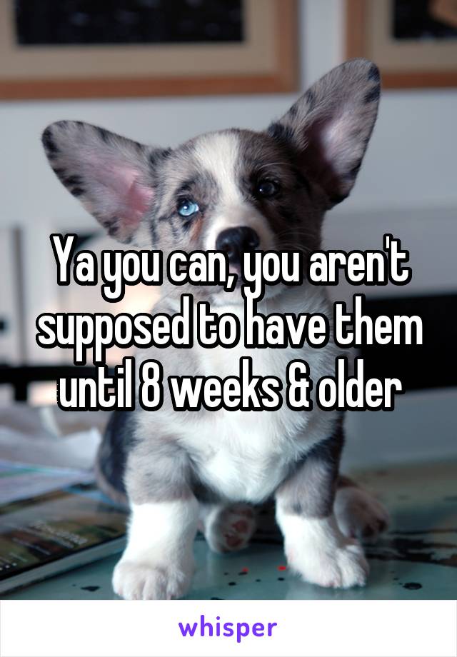 Ya you can, you aren't supposed to have them until 8 weeks & older