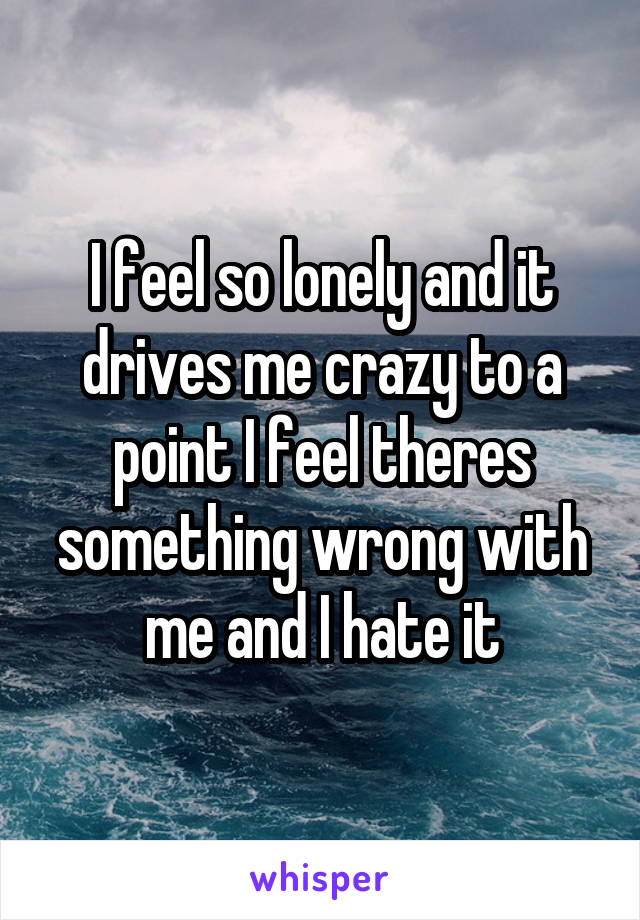 I feel so lonely and it drives me crazy to a point I feel theres something wrong with me and I hate it