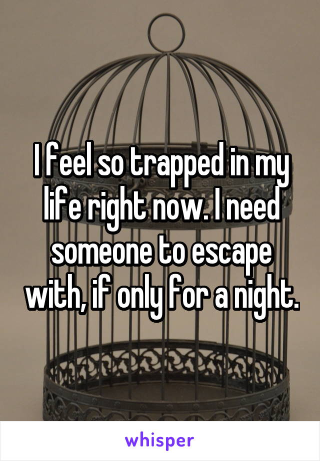 I feel so trapped in my life right now. I need someone to escape with, if only for a night.