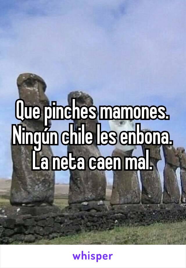 Que pinches mamones. Ningún chile les enbona. La neta caen mal.