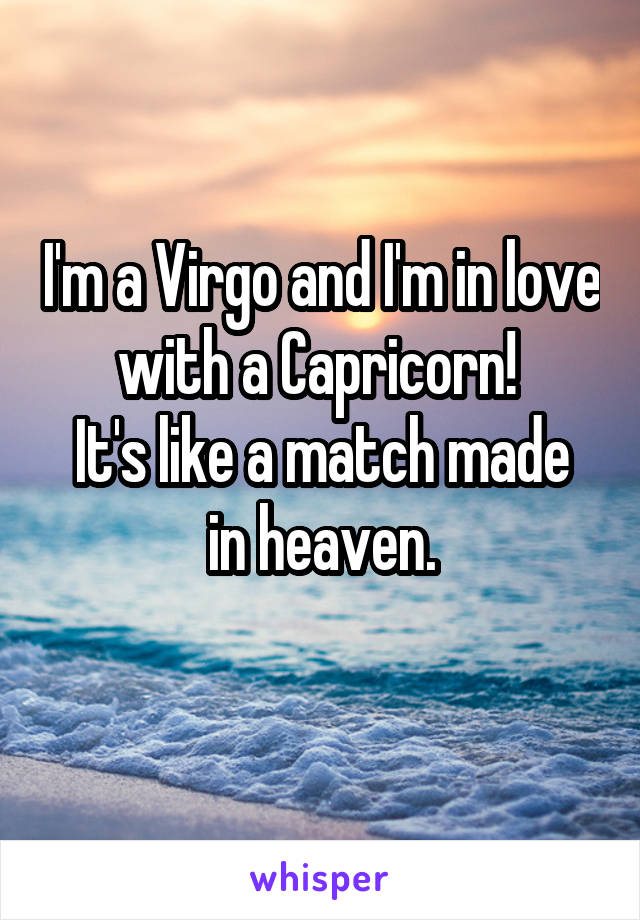 I'm a Virgo and I'm in love with a Capricorn! 
It's like a match made in heaven.
