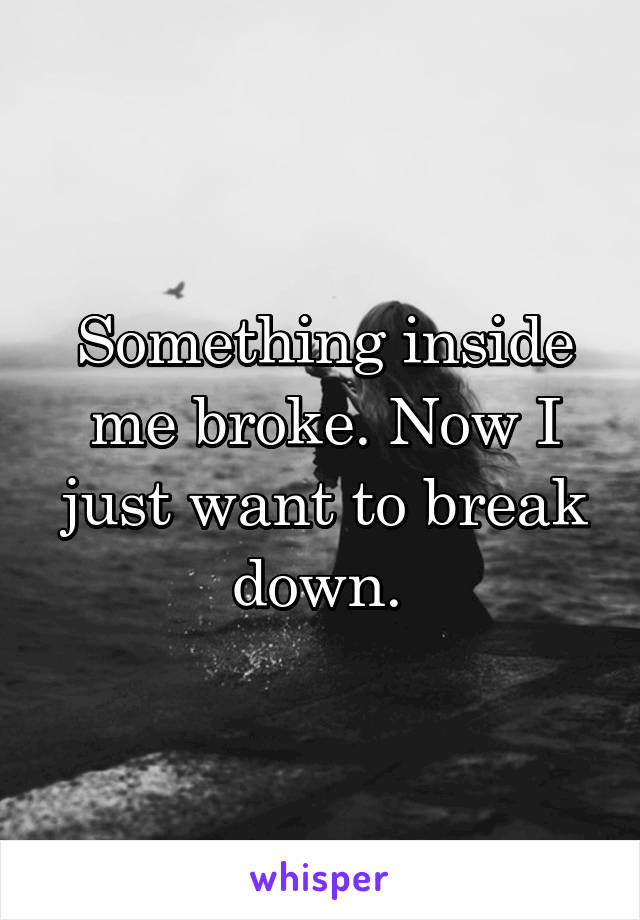 Something inside me broke. Now I just want to break down. 