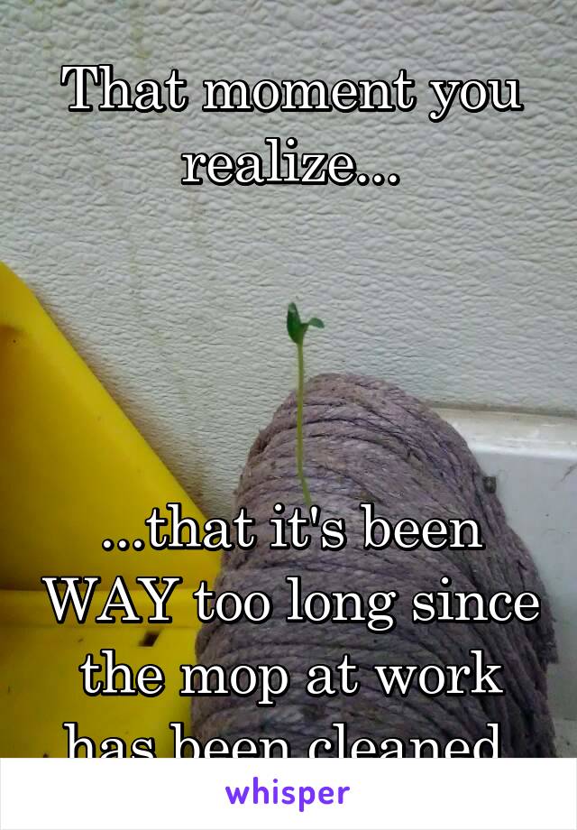 That moment you realize...




...that it's been WAY too long since the mop at work has been cleaned.