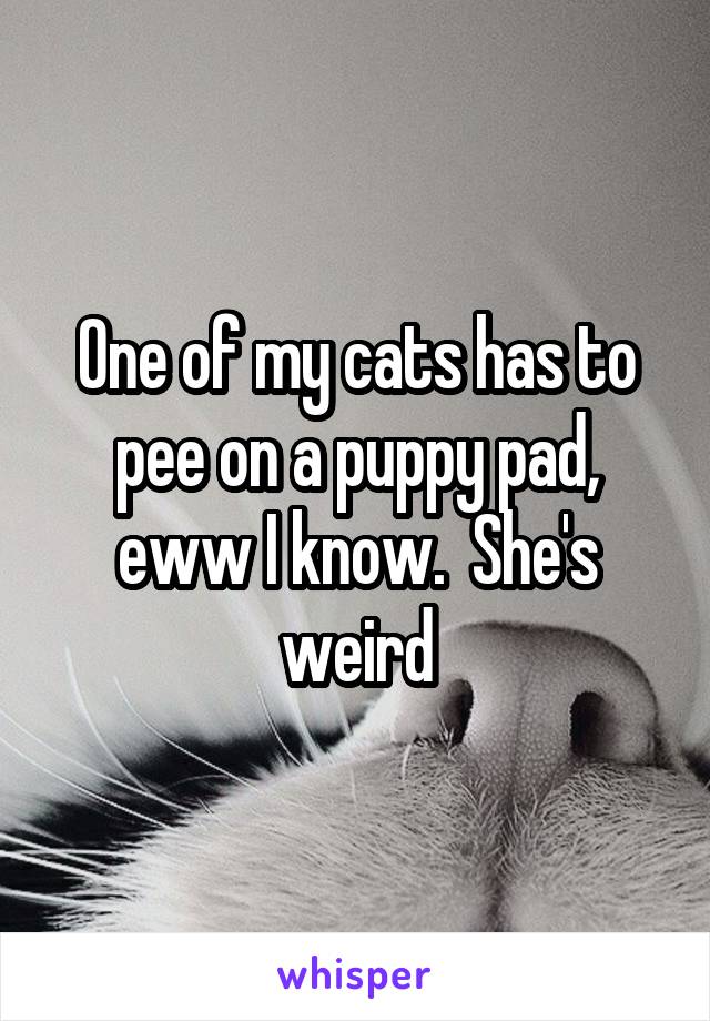 One of my cats has to pee on a puppy pad, eww I know.  She's weird