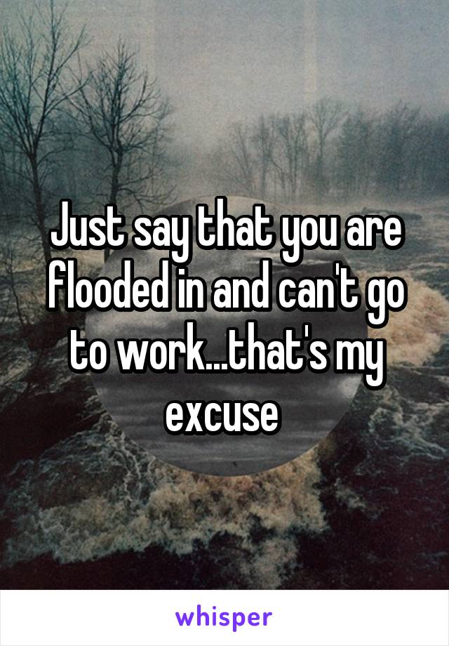 Just say that you are flooded in and can't go to work...that's my excuse 