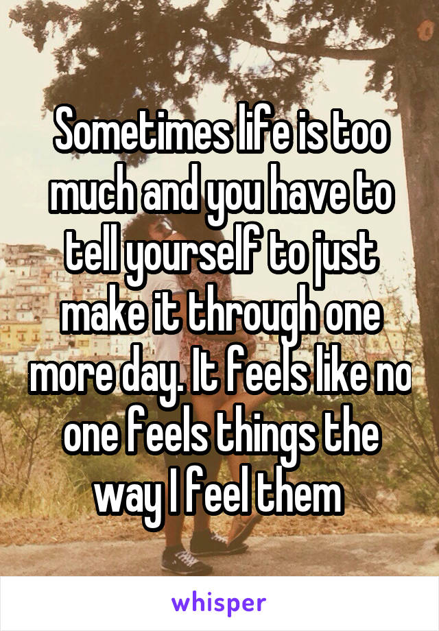 Sometimes life is too much and you have to tell yourself to just make it through one more day. It feels like no one feels things the way I feel them 