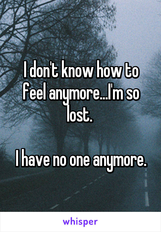 I don't know how to feel anymore...I'm so lost. 

I have no one anymore.