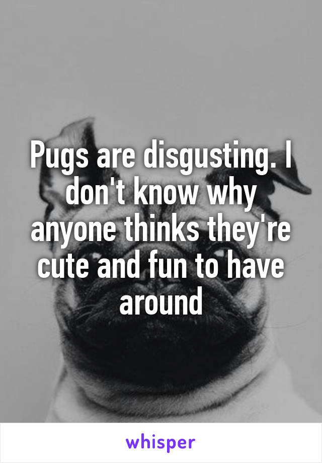 Pugs are disgusting. I don't know why anyone thinks they're cute and fun to have around