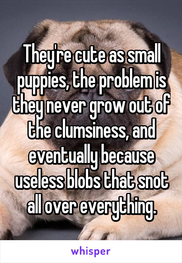 They're cute as small puppies, the problem is they never grow out of the clumsiness, and eventually because useless blobs that snot all over everything.