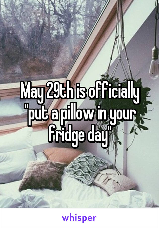 May 29th is officially "put a pillow in your fridge day"