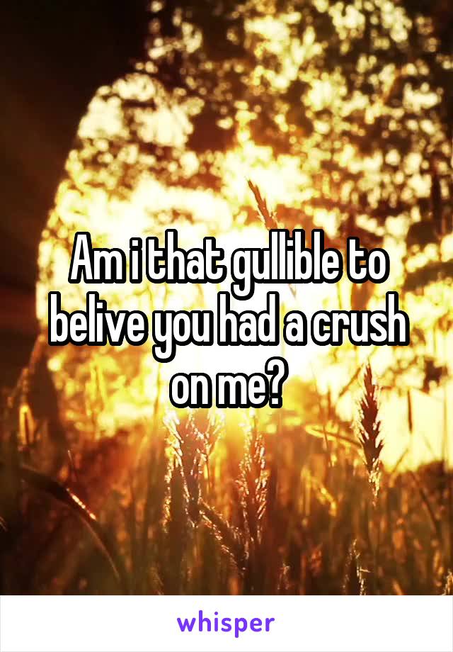 Am i that gullible to belive you had a crush on me?