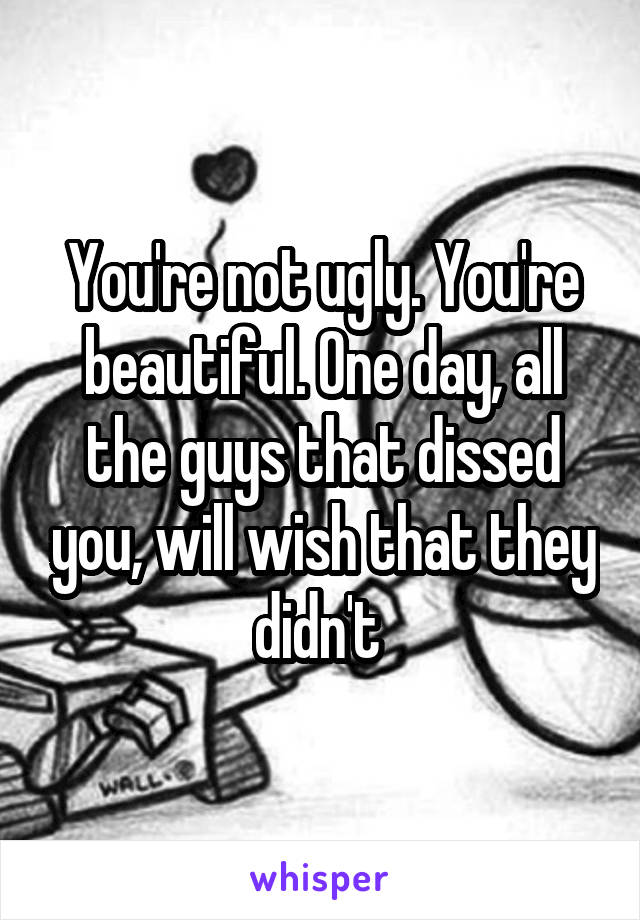 You're not ugly. You're beautiful. One day, all the guys that dissed you, will wish that they didn't 