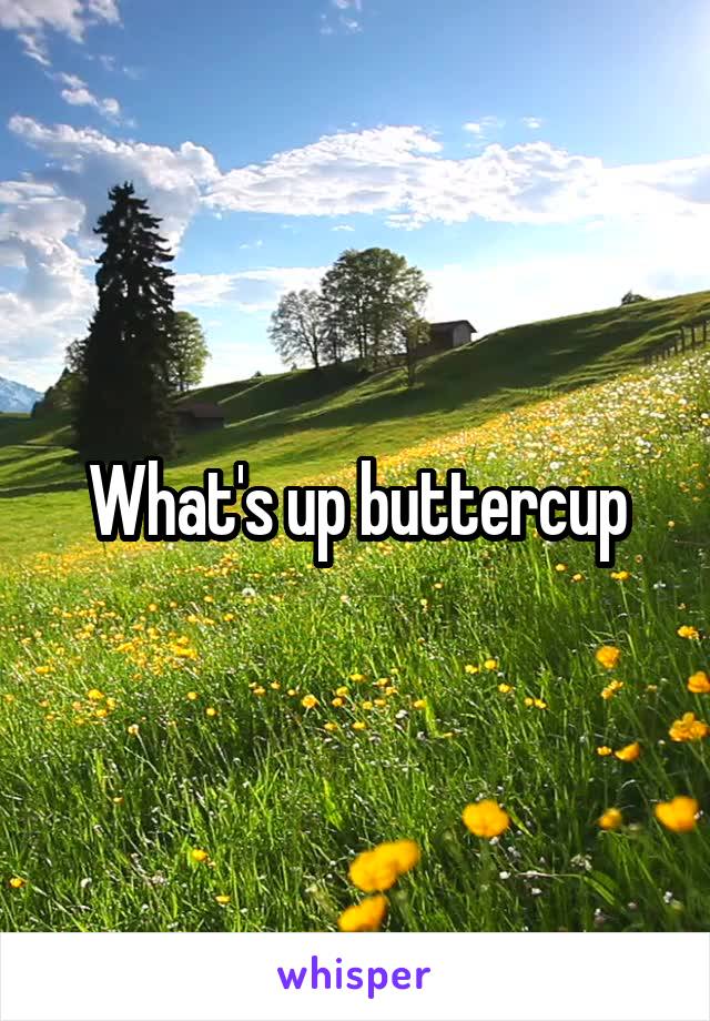 What's up buttercup