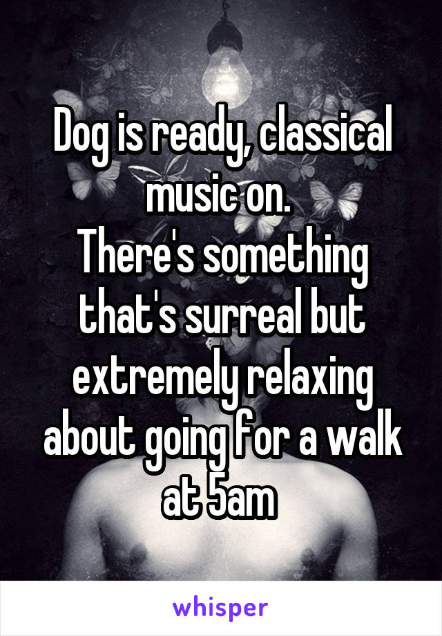 Dog is ready, classical music on. 
There's something that's surreal but extremely relaxing about going for a walk at 5am 