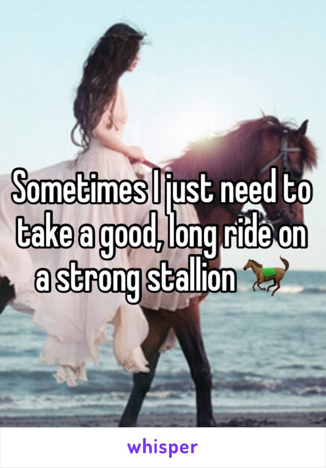 Sometimes I just need to take a good, long ride on a strong stallion 🐎