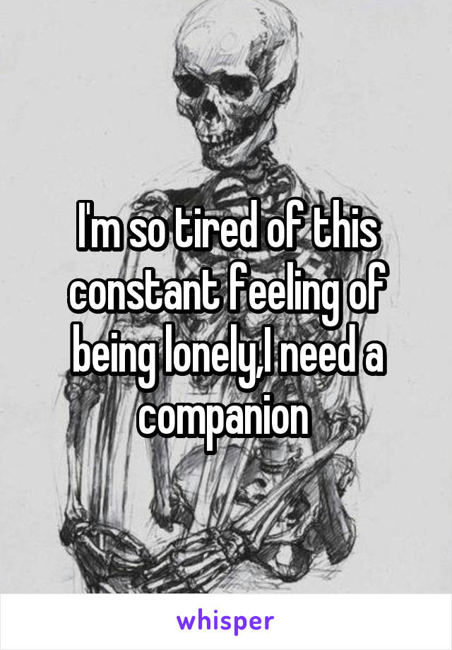 I'm so tired of this constant feeling of being lonely,I need a companion 