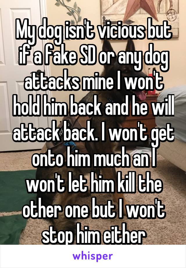 My dog isn't vicious but if a fake SD or any dog attacks mine I won't hold him back and he will attack back. I won't get onto him much an I won't let him kill the other one but I won't stop him either