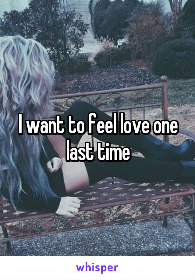 I want to feel love one last time