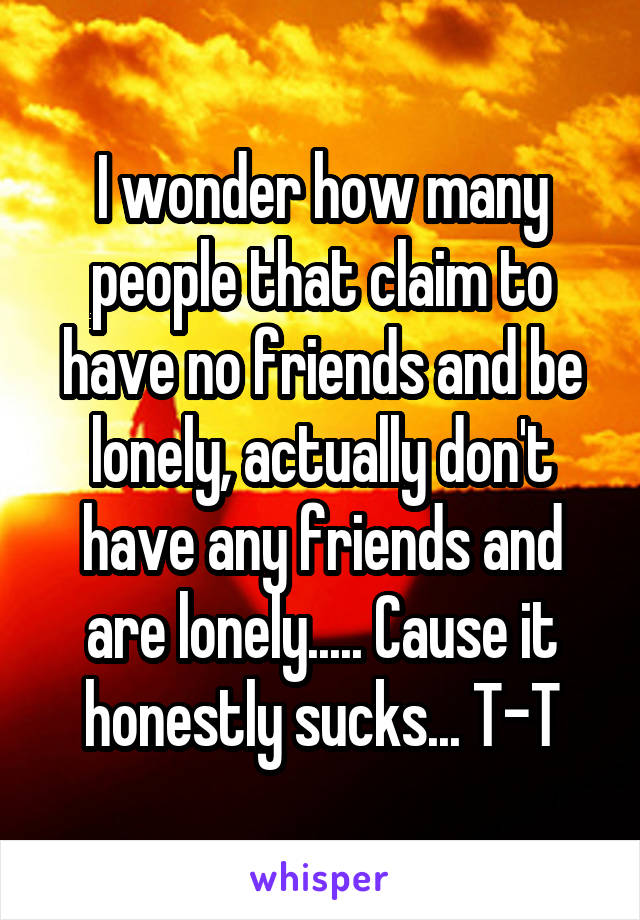 I wonder how many people that claim to have no friends and be lonely, actually don't have any friends and are lonely..... Cause it honestly sucks... T-T