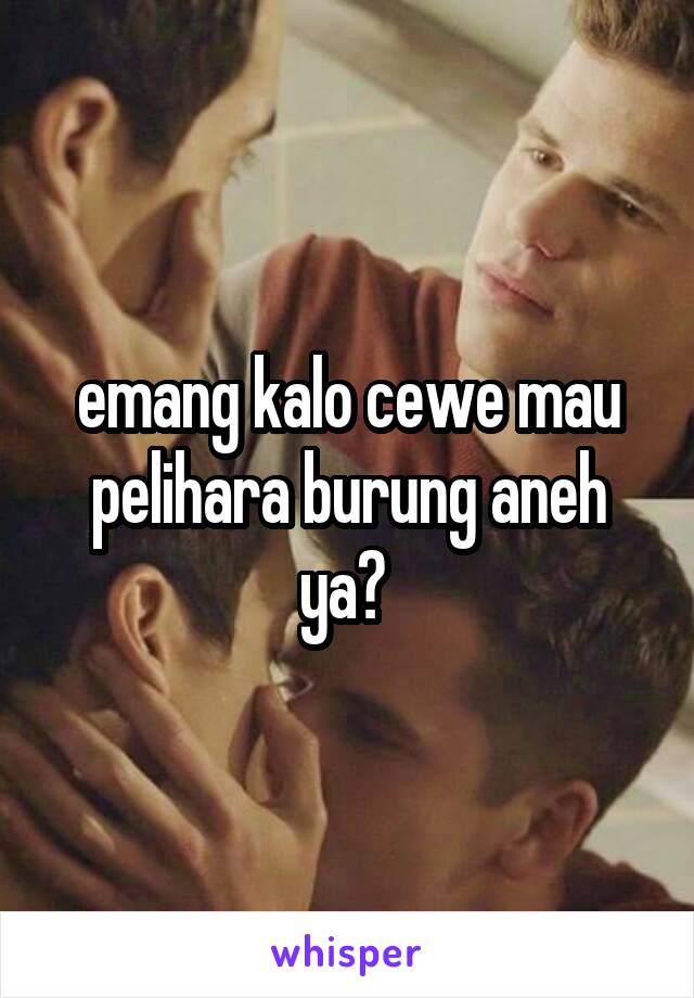 emang kalo cewe mau pelihara burung aneh ya? 