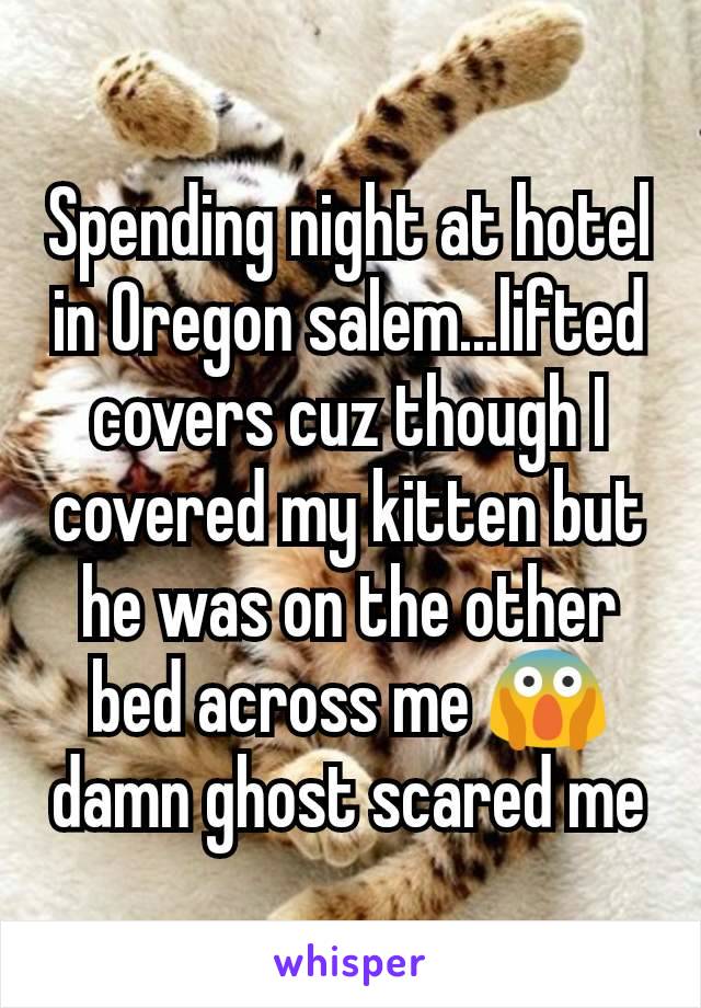 Spending night at hotel in Oregon salem...lifted covers cuz though I covered my kitten but he was on the other bed across me 😱 damn ghost scared me