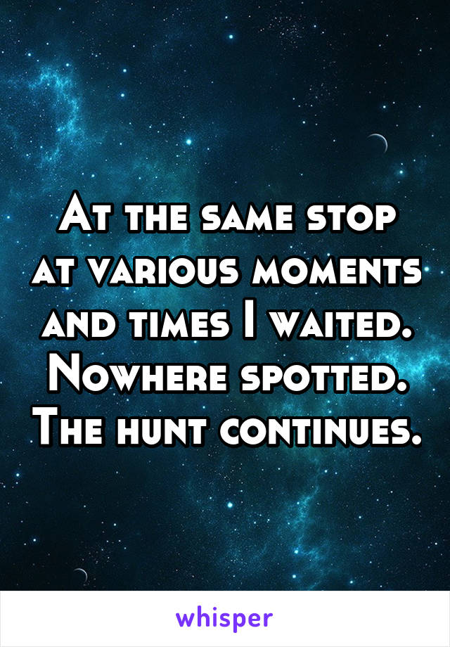 At the same stop at various moments and times I waited. Nowhere spotted. The hunt continues.