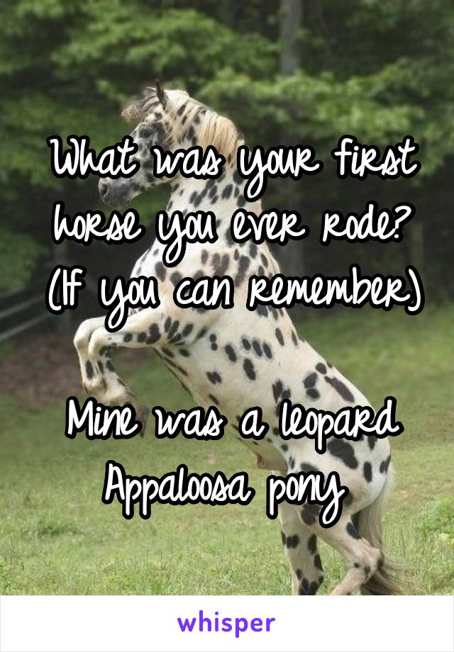 What was your first horse you ever rode? (If you can remember)

Mine was a leopard Appaloosa pony 