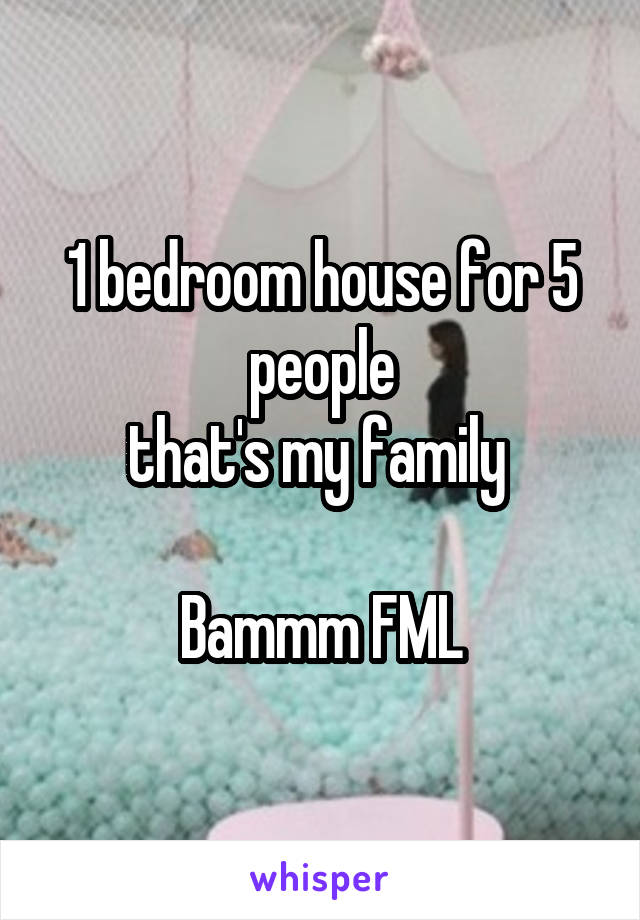 1 bedroom house for 5 people
that's my family 

Bammm FML