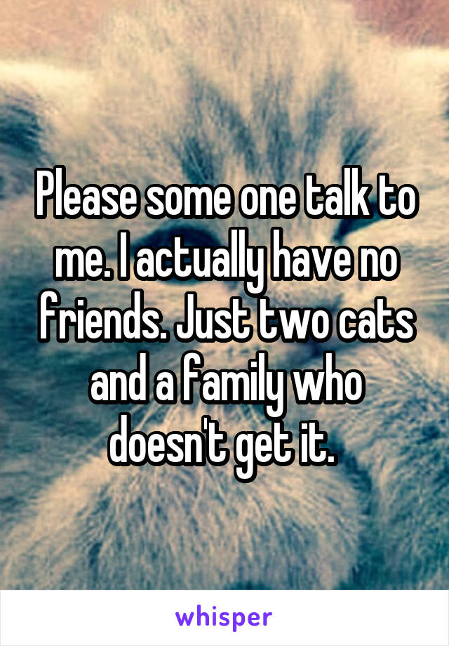 Please some one talk to me. I actually have no friends. Just two cats and a family who doesn't get it. 