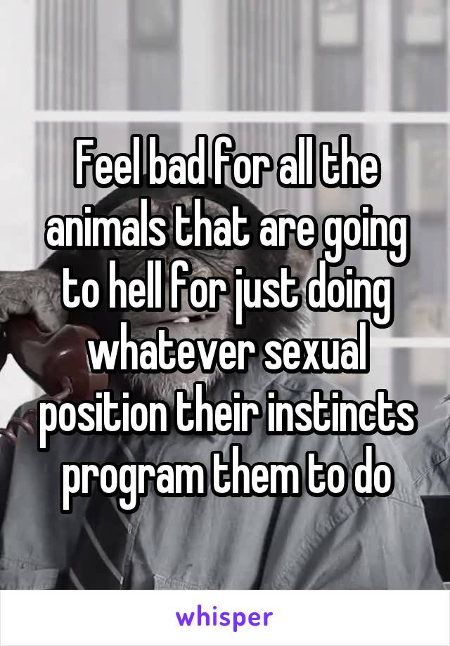 Feel bad for all the animals that are going to hell for just doing whatever sexual position their instincts program them to do