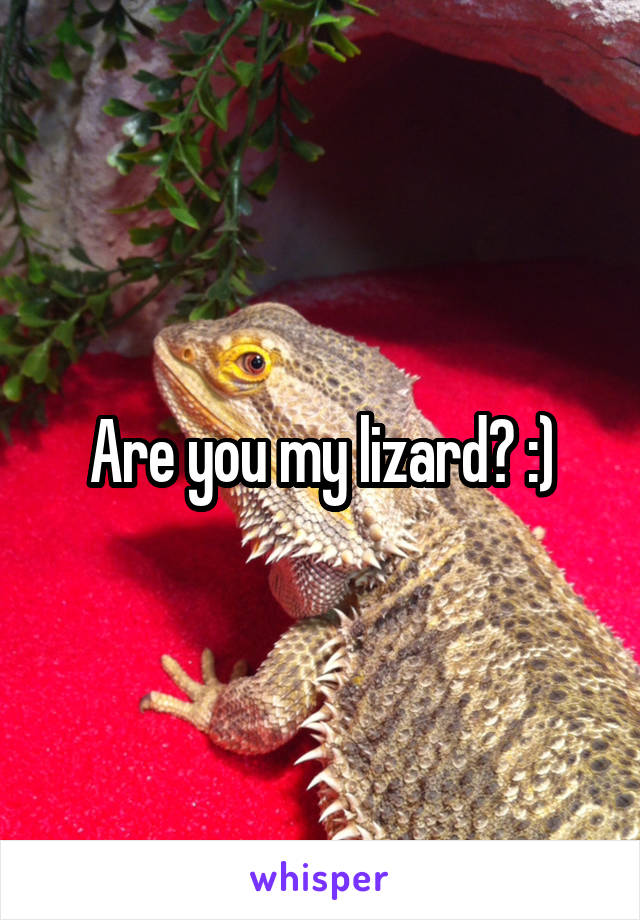 Are you my lizard? :)