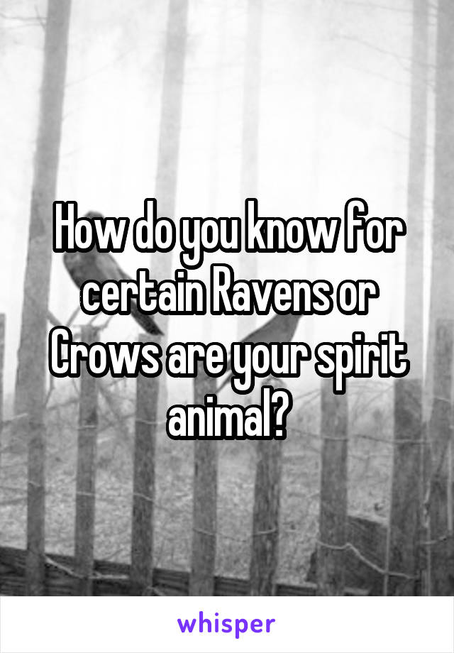 How do you know for certain Ravens or Crows are your spirit animal?