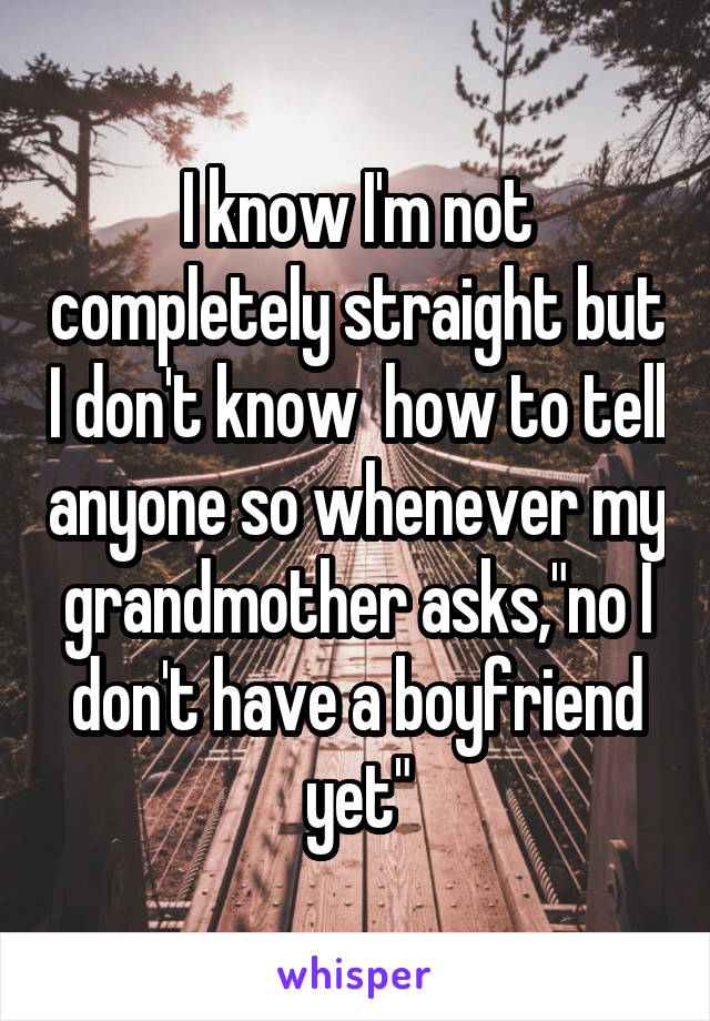 I know I'm not completely straight but I don't know  how to tell anyone so whenever my grandmother asks,"no I don't have a boyfriend yet"