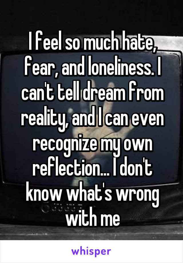 I feel so much hate, fear, and loneliness. I can't tell dream from reality, and I can even recognize my own reflection... I don't know what's wrong with me