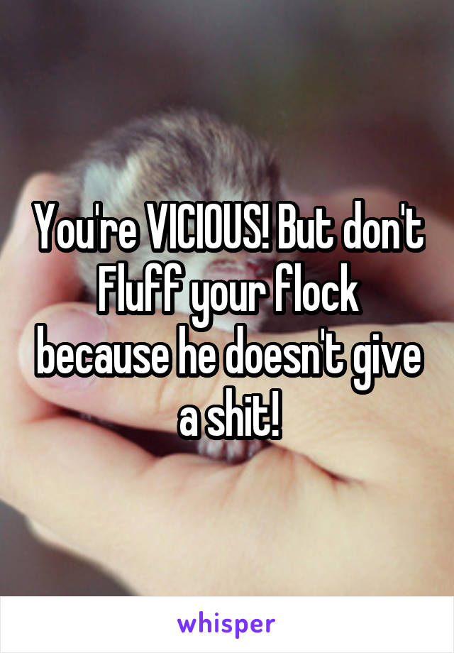 You're VICIOUS! But don't Fluff your flock because he doesn't give a shit!