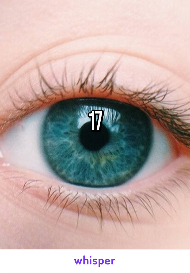 17
