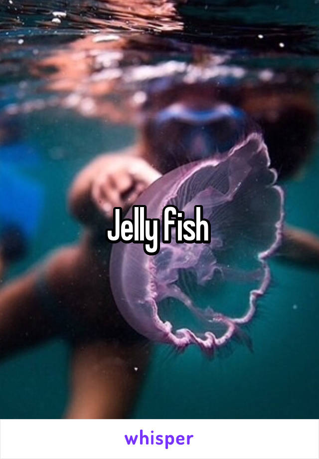 Jelly fish 