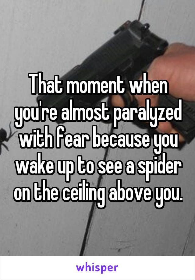 That moment when you're almost paralyzed with fear because you wake up to see a spider on the ceiling above you.