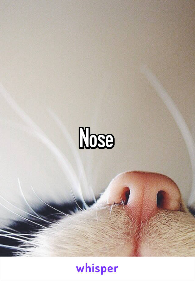 Nose 