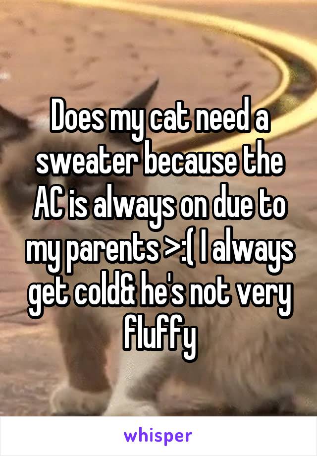 Does my cat need a sweater because the AC is always on due to my parents >:( I always get cold& he's not very fluffy