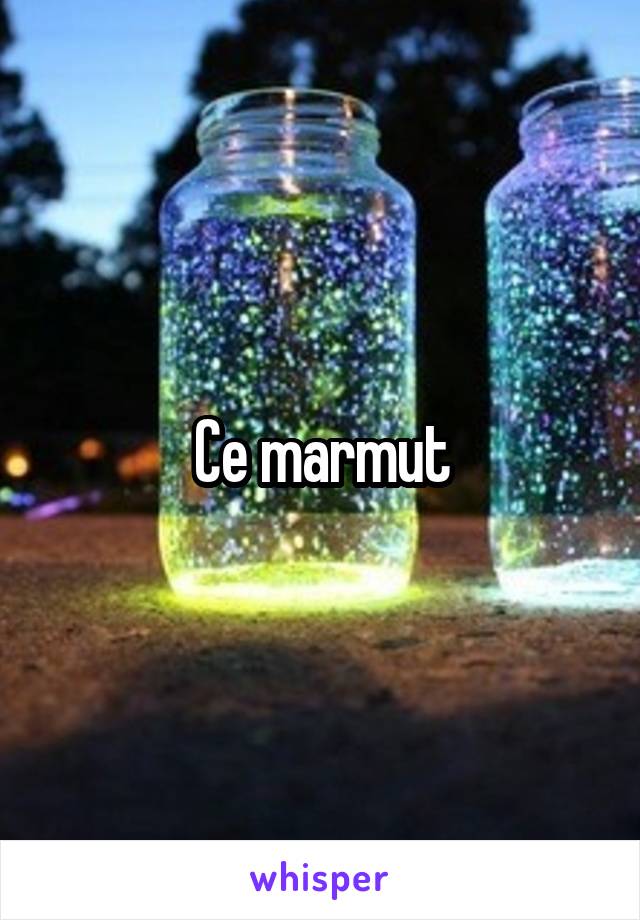 Ce marmut