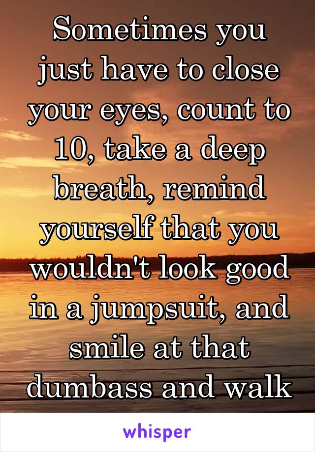 Sometimes you just have to close your eyes, count to 10, take a deep breath, remind yourself that you wouldn't look good in a jumpsuit, and smile at that dumbass and walk away. 