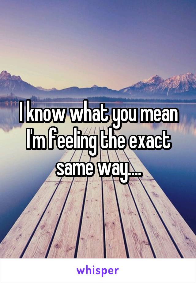 I know what you mean I'm feeling the exact same way....