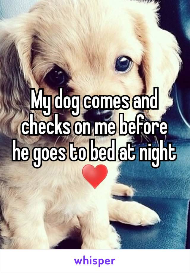 My dog comes and checks on me before he goes to bed at night ♥️