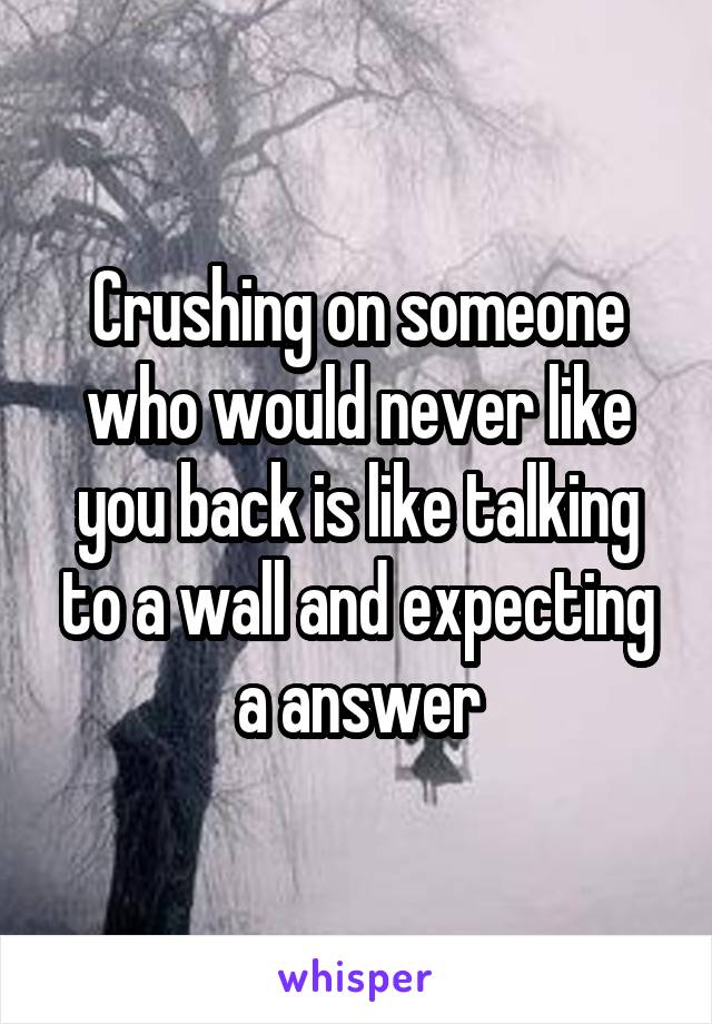 Crushing on someone who would never like you back is like talking to a wall and expecting a answer