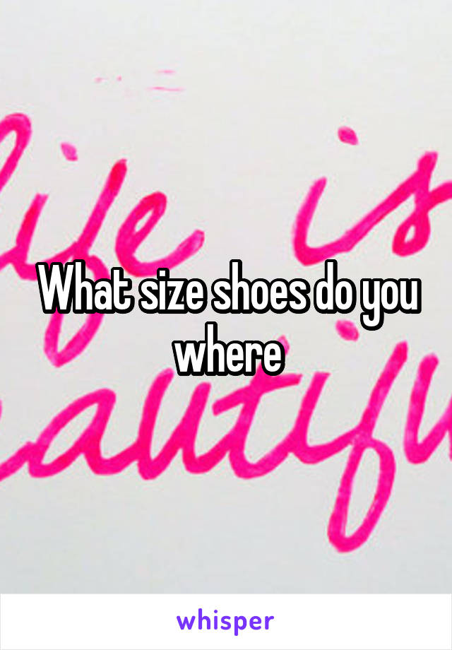 What size shoes do you where