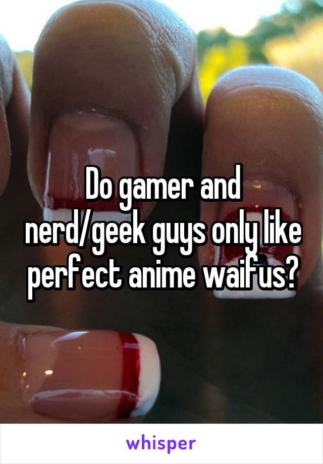 Do gamer and nerd/geek guys only like perfect anime waifus?