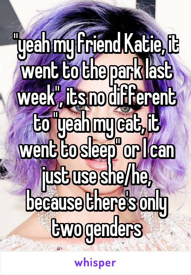 "yeah my friend Katie, it went to the park last week", its no different to "yeah my cat, it went to sleep" or I can just use she/he, because there's only two genders